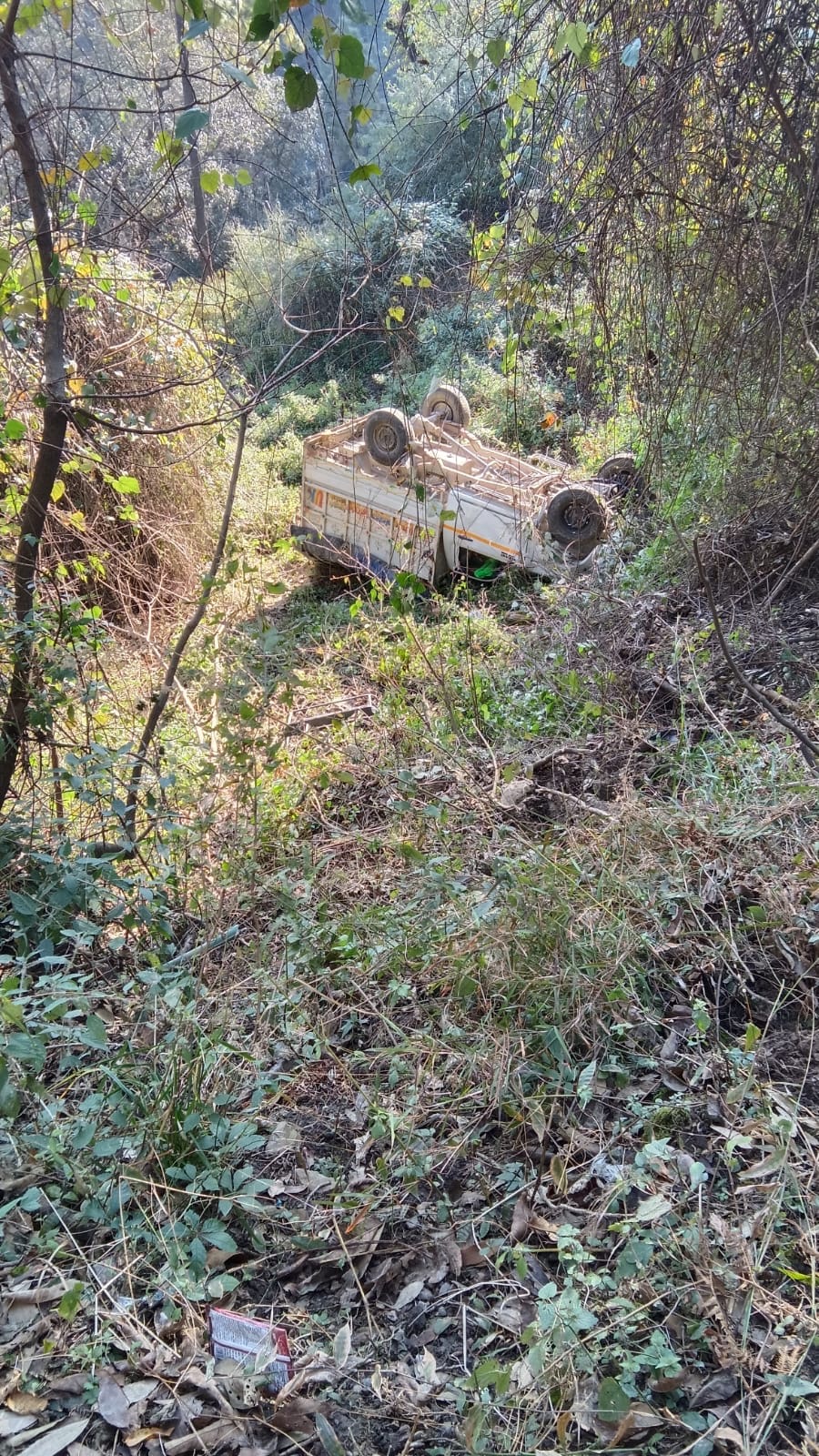 018fcf90 902f 4d08 b57f 50fe76046004